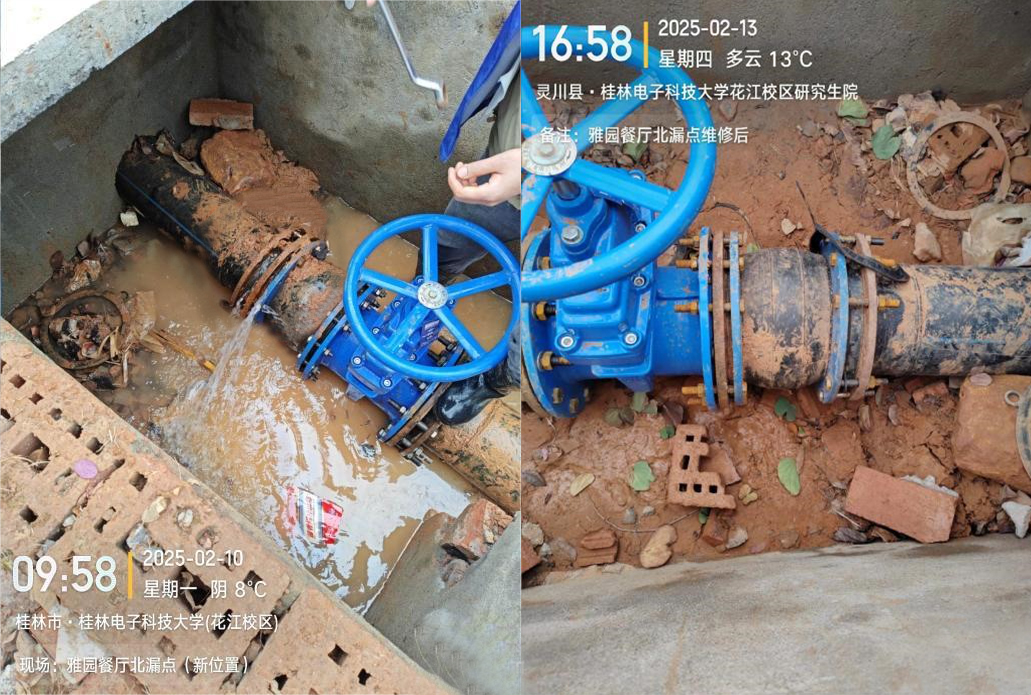 1743996484144482.jpg 5-1(2).jpg